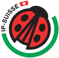 Logo-